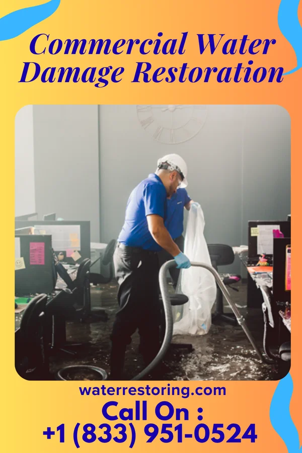 Commercial Water Damage Restoration in Ponca, NE